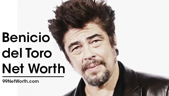 Benicio del Toro Net Worth, Benicio del Toro's Net Worth, Net Worth of Benicio del Toro