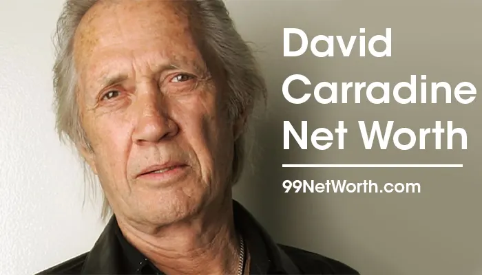 David Carradine Net Worth, David Carradine's Net Worth, Net Worth of David Carradine