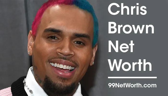 Chris Brown Net Worth, Chris Brown's Net Worth, Net Worth of Chris Brown